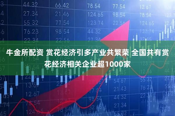 牛金所配资 赏花经济引多产业共繁荣 全国共有赏花经济相关企业超1000家