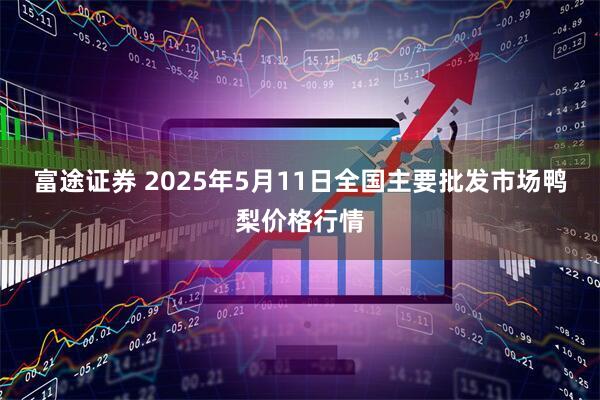 富途证券 2025年5月11日全国主要批发市场鸭梨价格行情