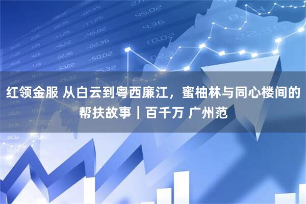 红领金服 从白云到粤西廉江，蜜柚林与同心楼间的帮扶故事｜百千万 广州范