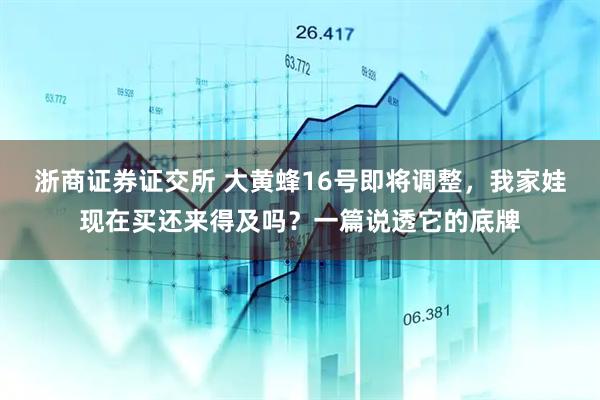 浙商证券证交所 大黄蜂16号即将调整,我家娃现在买还来得及吗?一篇说透它的底牌